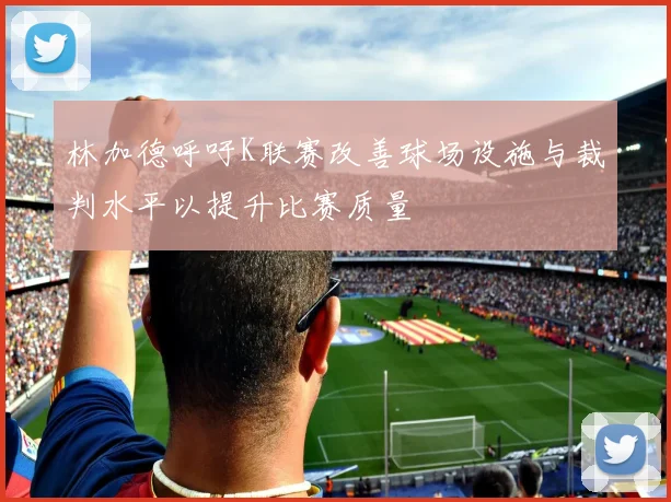 林加德呼吁K联赛改善球场设施与裁判水平以提升比赛质量
