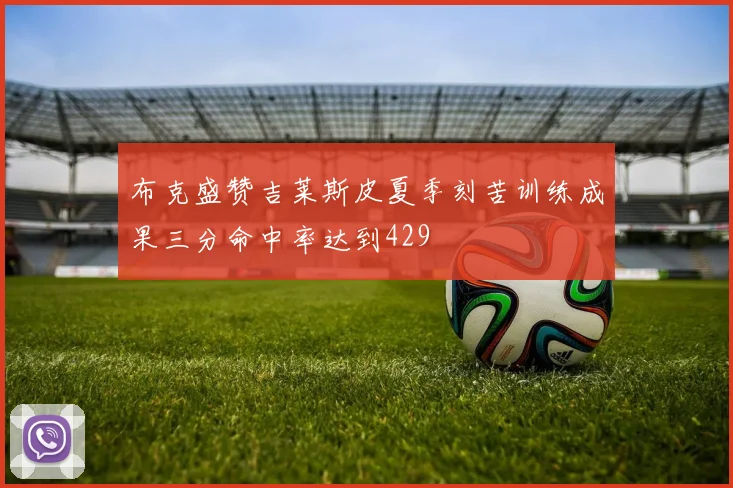 布克盛赞吉莱斯皮夏季刻苦训练成果三分命中率达到429