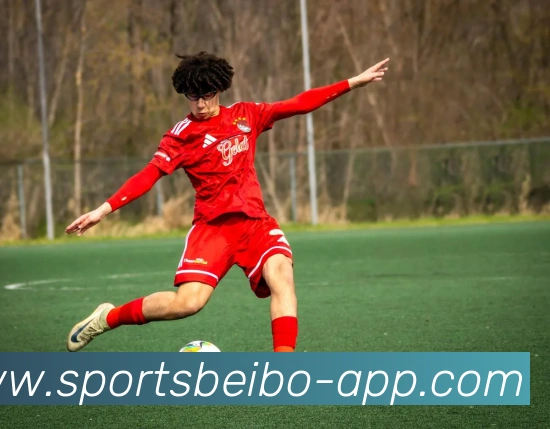 贝博体育品牌故事