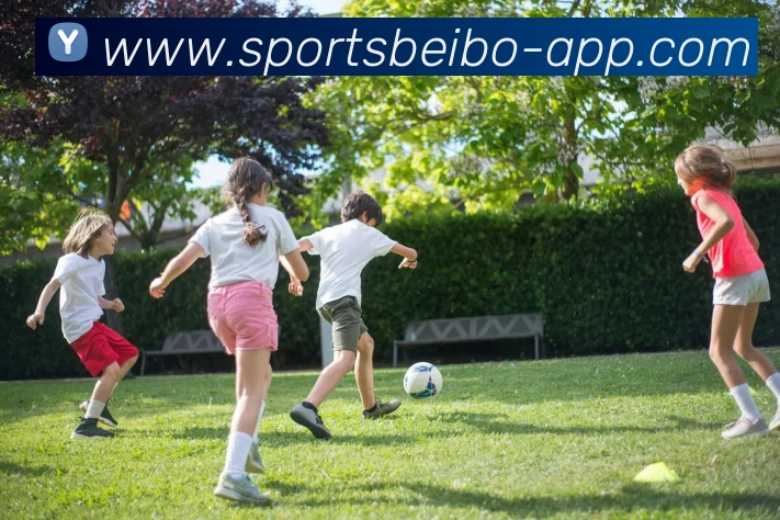 贝博体育服务体系